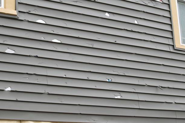 Best Steel Siding Installation  in Mcfarland, WI